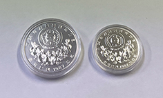 �����륪���ԥå���ǰ��� �ץ롼��2���ȡʥ��������꡼�����������㥮��