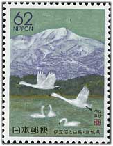 1990年伊豆沼と白鳥
