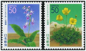 2001年北の島に咲く花オクシリエビネ・リシリヒナゲシ