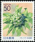 2004年東北県花6種フキノトウ