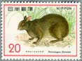 自然保護シリーズアマミノクロウサギ
