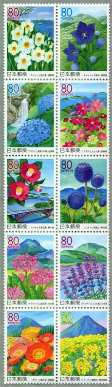 2006年九州の花と風景II