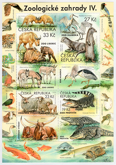 ưʪ�ྮ��������