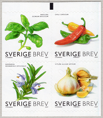 ���ѥ���