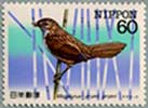 特殊鳥類オオセッカ
