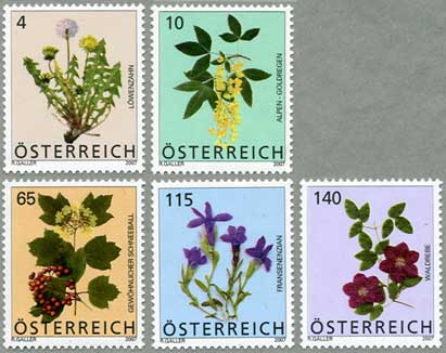 オーストリア2007年花5種