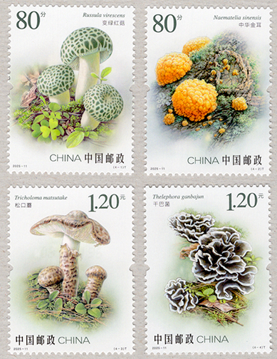 ���ѥ��Υ�