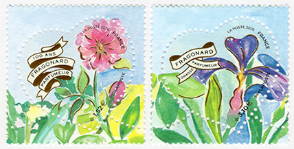 �ϡ����ڼ�֥ե饴�ʡ����