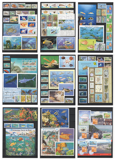 ���𡦳�����ʪ��̤�����ڼ�101��ʾ����ֹ�20250714_mrn05��