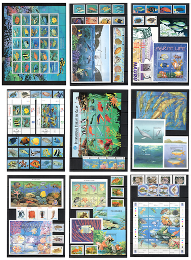 ���𡦳�����ʪ��̤�����ڼ�101��ʾ����ֹ�20250714_mrn05��