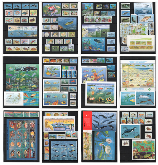 ���𡦳�����ʪ��̤�����ڼ�145�� �ʾ����ֹ�20250714_mrn08��