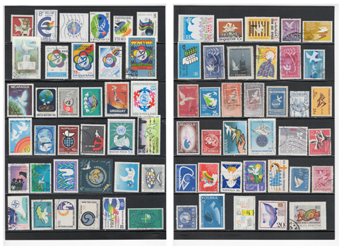 ȷ�������줿�������ڼ�71��