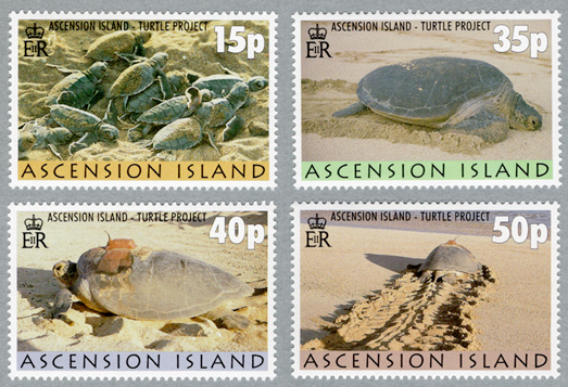 �����ȥ�ץ��������ȣ���