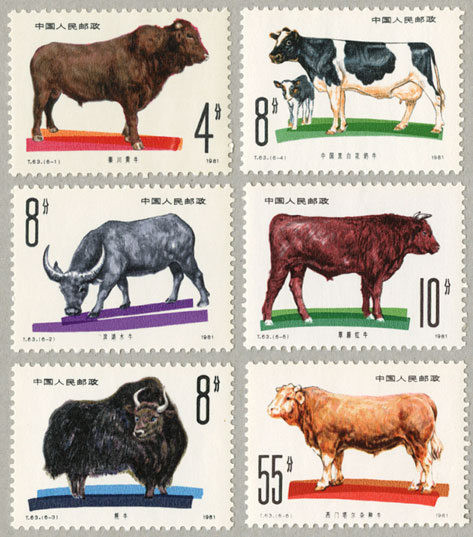 中国1981年牧畜牛6種