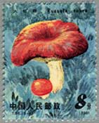 中国1981年きのこ6種