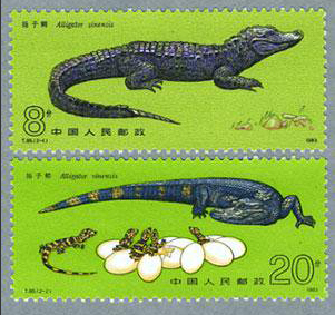 1983年 揚子江ワニ2種
