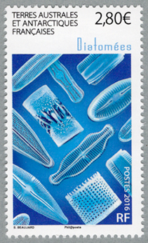 ���η�����