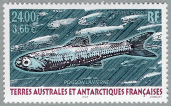 �ϥ������亮