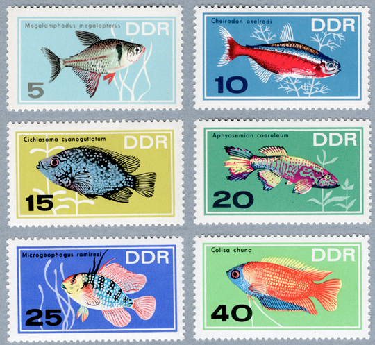 Ǯ�ӵ�����