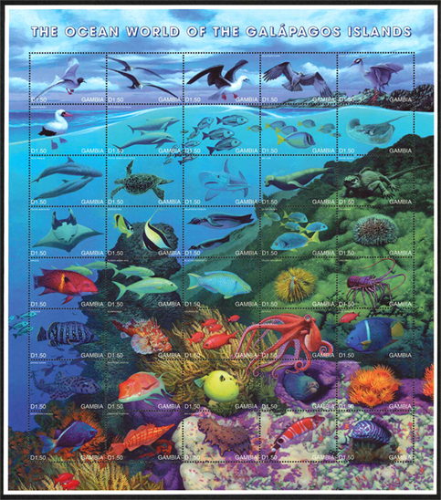 ����ѥ����γ�����ʪ 40�̥�����