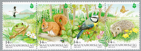 �衼���åѼ����ݸ�ǯ����Ϣ��