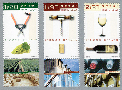 �磻�������������դ�����