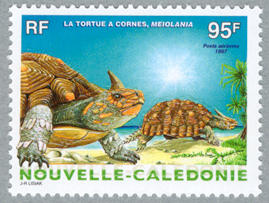 �ᥤ����˥�