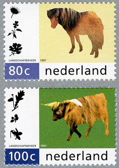 �����ȴĶ�����