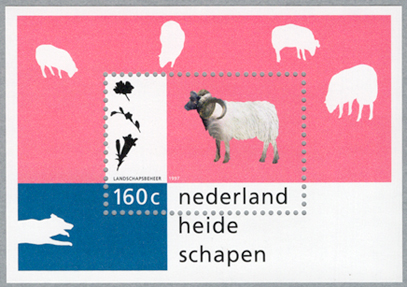 �����ȴĶ��ʥɥ��ġ��ҡ��������סˡ�����������