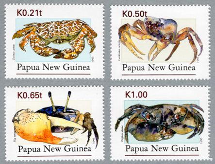 ���ˣ���