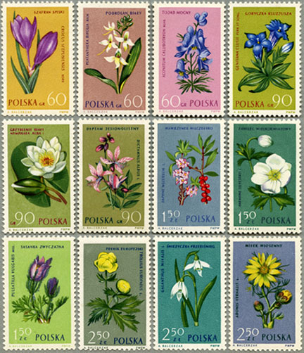 ポーランド 1962年花12種 日本切手 外国切手の販売 趣味の切手専門店マルメイト