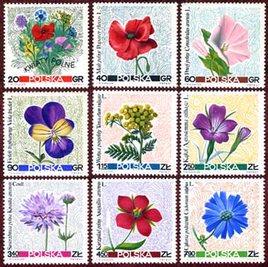 ポーランド 1967年花9種 日本切手 外国切手の販売 趣味の切手専門店マルメイト