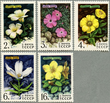 ロシア 1977年シベリアの花5種 日本切手 外国切手の販売 趣味の切手専門店マルメイト
