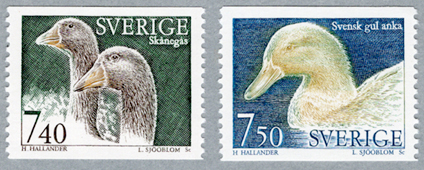 ��ȥ��ҥ룲��