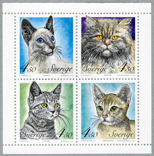 ǭ���ڼ�Ģ�ڡ���