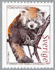 ��å����ѥ��