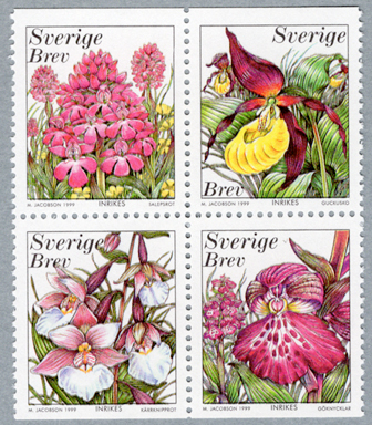 �����ڼ�Ģʬ�䣴Ϣ