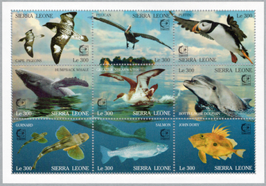 ��Ļ�ȳ�����ʪ������������